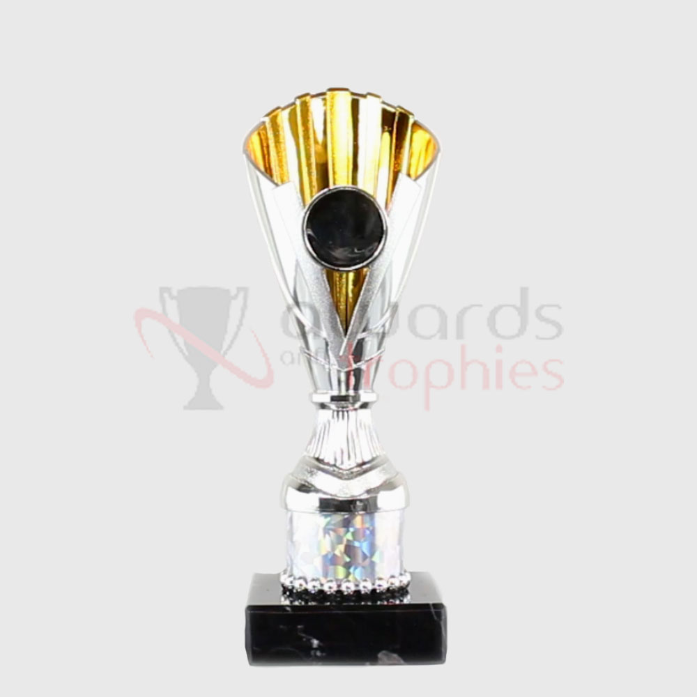 Norwich Cup Silver/Gold 200mm