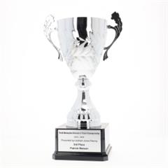 Metal Trophy Cups