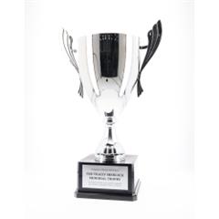 Metal Trophy Cups