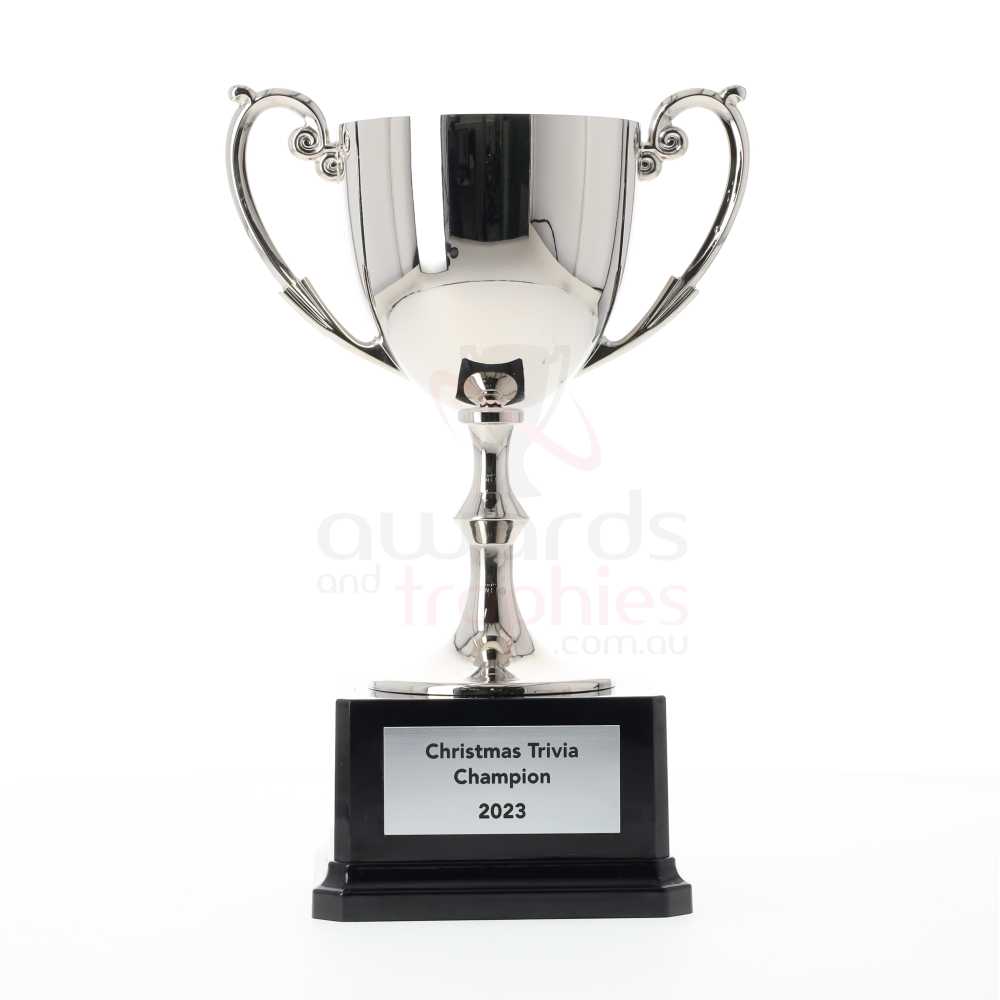 Recognition Nickel Plated Cup 360mm