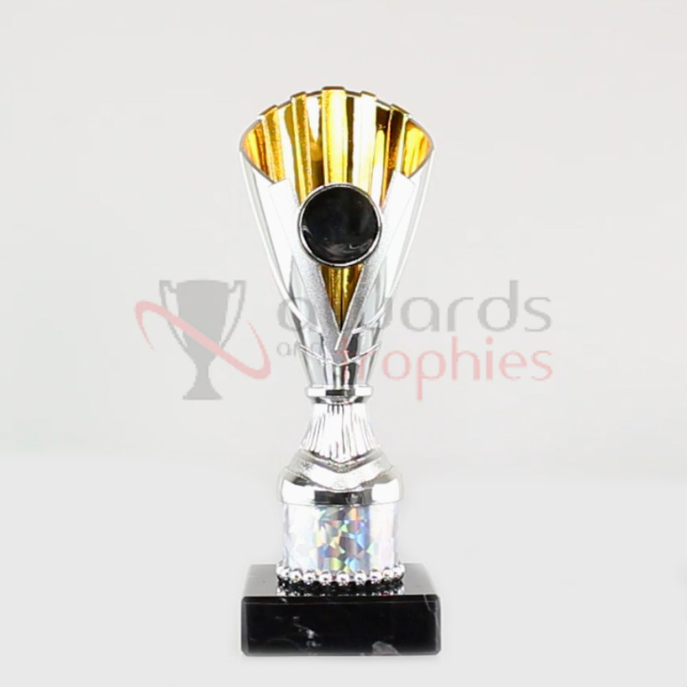 Norwich Cup Silver/Gold 200mm