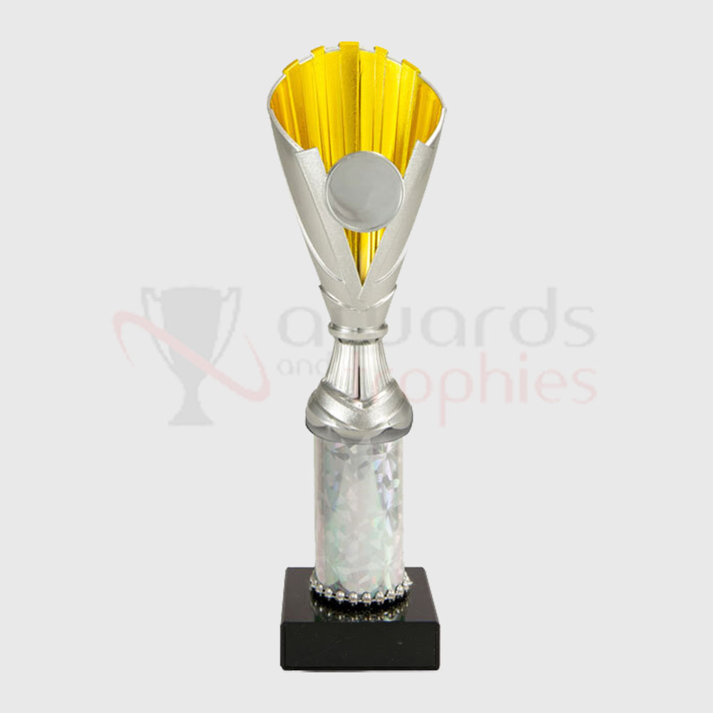 Norwich Cup Silver/Gold 250mm